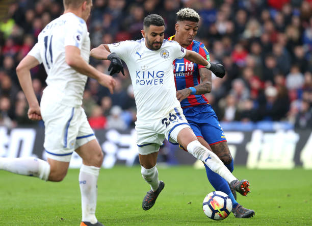 培育了诸多 培育了诸多