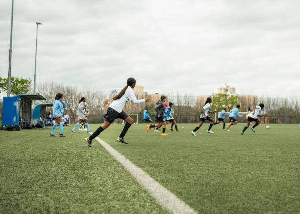 楊鳴稱贊山 楊鳴稱贊山